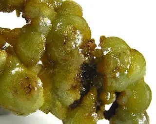 Adamite-145081.jpg