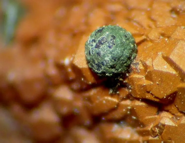 Natrodufrenite-95023.jpg