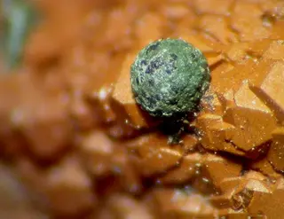 Natrodufrenite-95023.jpg
