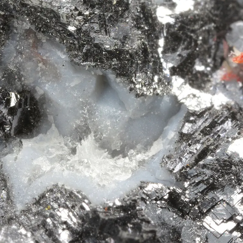 Laurelite-846567.jpg