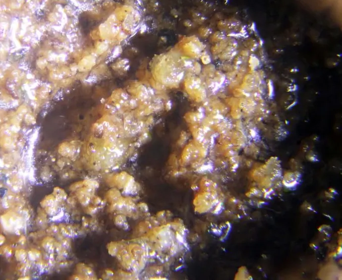 Natroxalate.jpg
