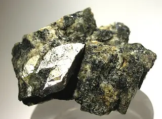 Naujakasite-21680.jpg