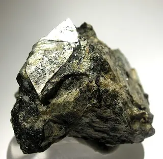 Naujakasite-21681.jpg