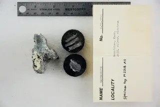 Naumannite with Gold, Silver, and Electrum (48522615797).jpg