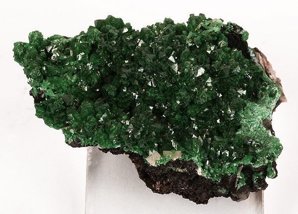 Copper-bearing Adamite