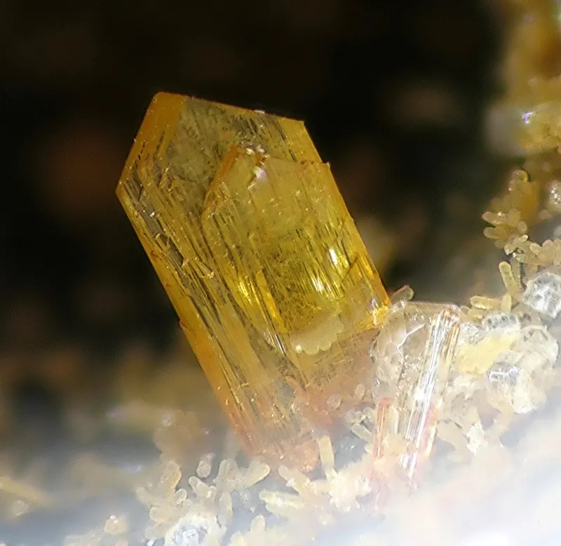 Nealite-81866.jpg
