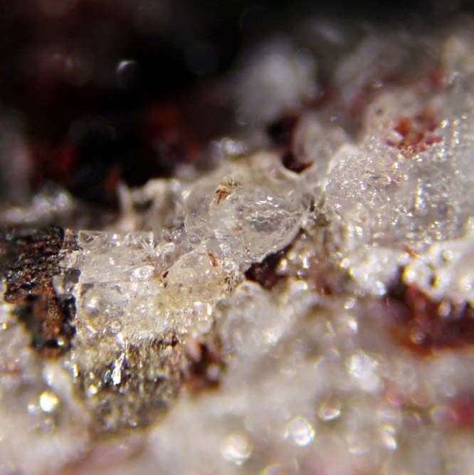 Arctite