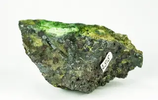 Trevorite-Népouite-536295.jpg