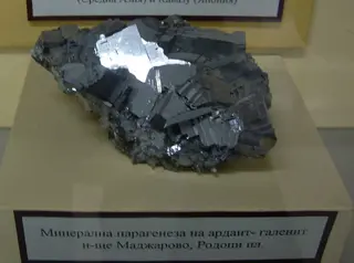Paragenesis Ardaite & Galena.JPG