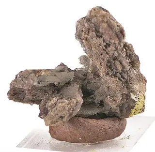 Newberyite-400777.jpg