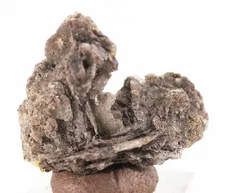 Newberyite-400778.jpg