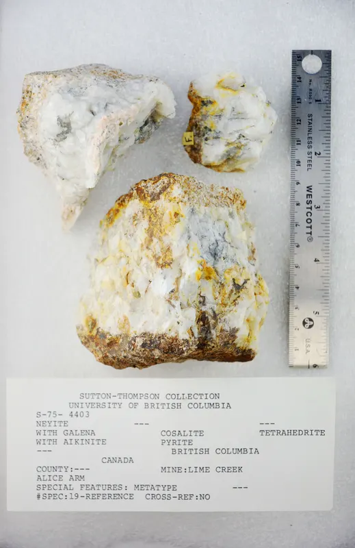 Neyite (48904895527).jpg
