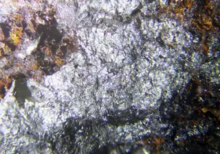 Neyite.jpg