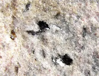 Nezilovite-330359.jpg