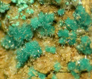 Niedermayrite-320849.jpg