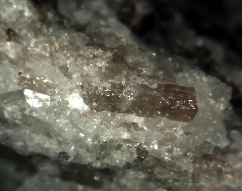 Niocalite-207924.jpg