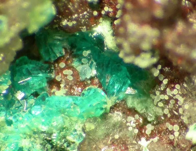 Nissonite-132872.jpg