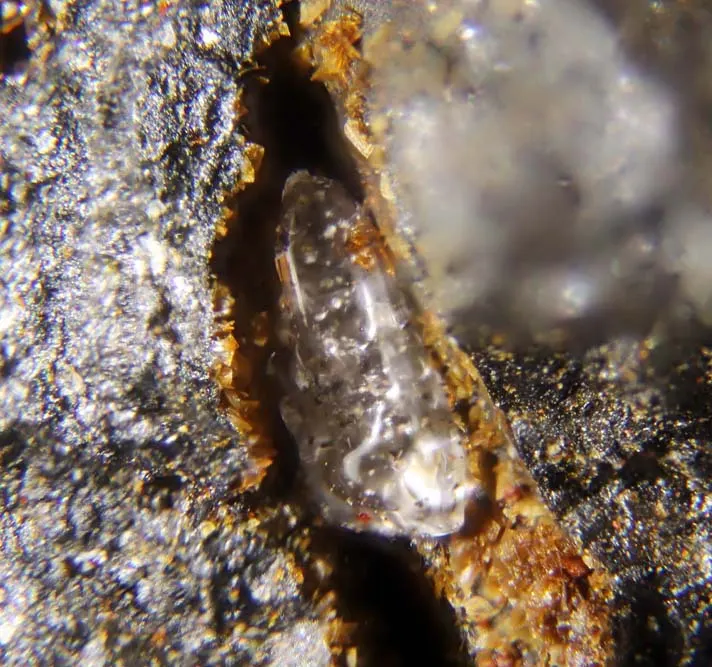 Nitrobarite.jpg