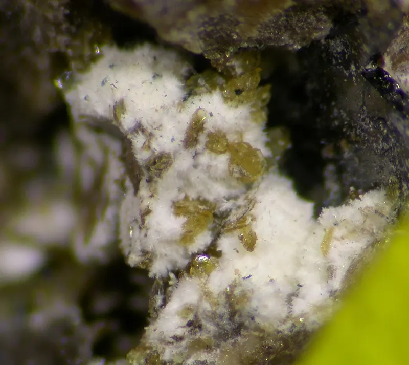 Nordgauite-Rittmannite-653619.jpg