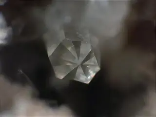 Nosean single crystal, top view - Ochtendung, Eifel, Germany.jpg