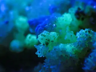Novacekit UV.jpg