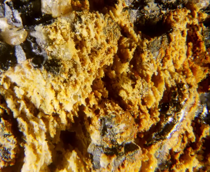 Ogdensburgite.jpg