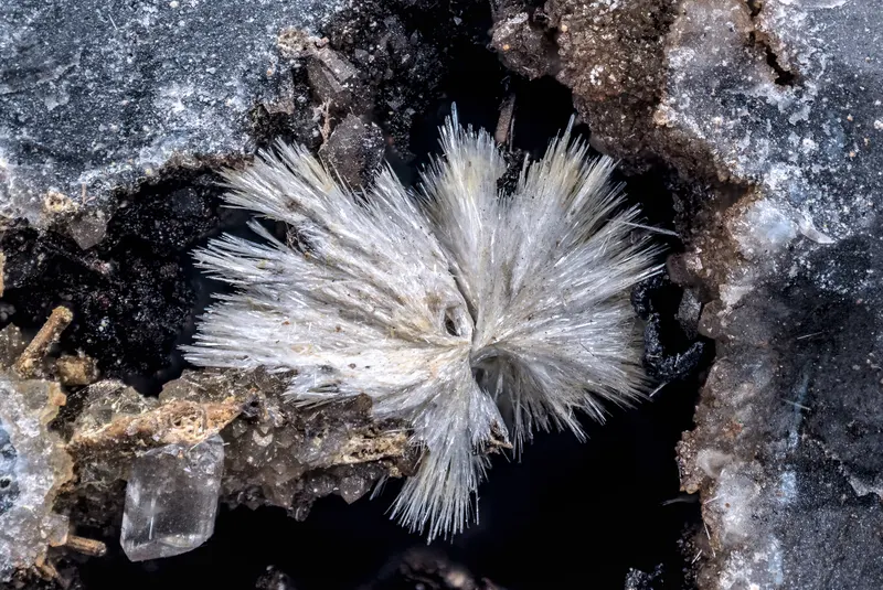 Onoratoite, Gypsum-843563.jpg