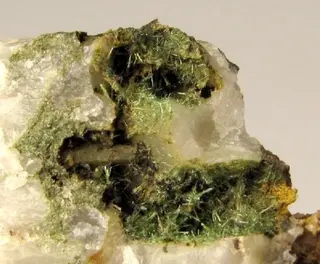Oosterboschite, Trogtalite, Cuprosklodowskite, Quartz-384836.jpg