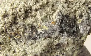 Oosterboschite, Trogtalite, Cuprosklodowskite, Quartz-384834.jpg