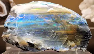 Opal NHMLA.png