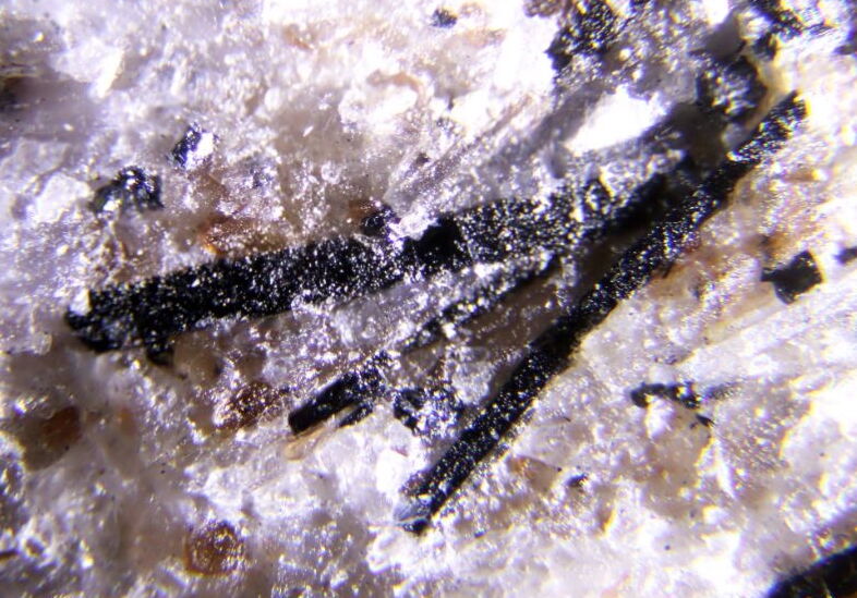 Orthopinakiolite