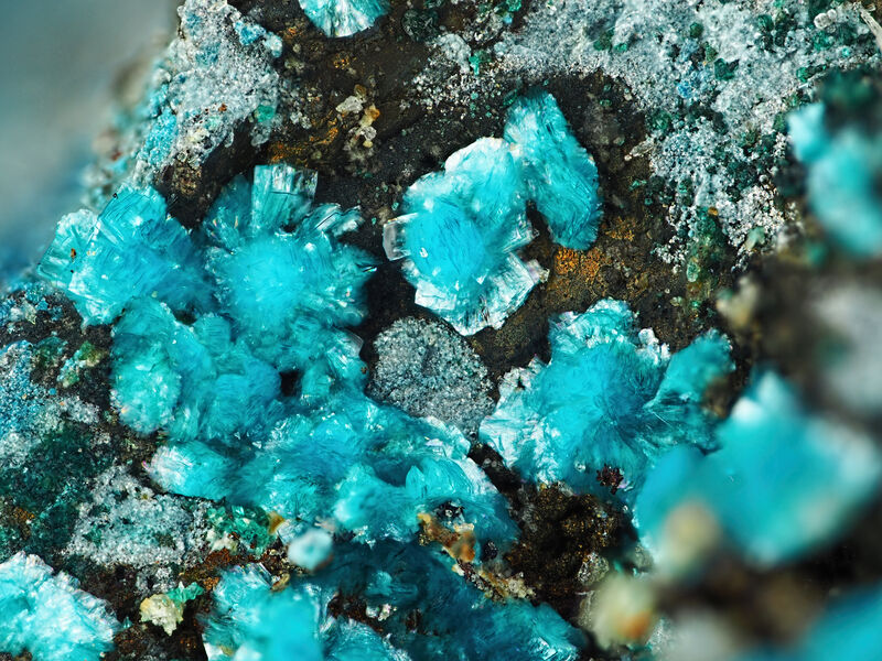Orthoserpierite