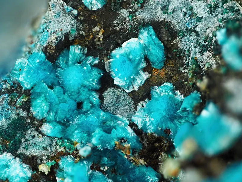 Orthoserpierite, Ramsbeckite-856929.jpg