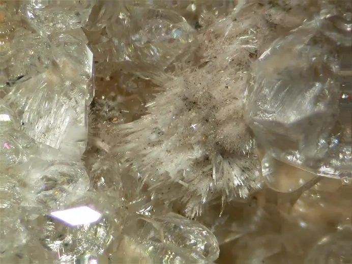 Oyelite-86747.jpg