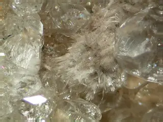 Oyelite-86747.jpg