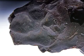 OzocériteUkraine-provenanceBoryslawRefMGL35548 Lamiot MuséumHistoireNaturelleLilleGLAM2016a.jpg