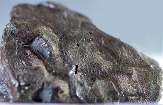 OzocériteUkraine-provenanceBoryslawRefMGL35548 Lamiot MuséumHistoireNaturelleLilleGLAM2016a0.jpg
