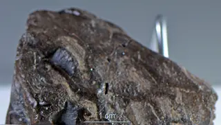 OzocériteUkraine-provenanceBoryslawRefMGL35548 Lamiot MuséumHistoireNaturelleLilleGLAM2016a0échelle.jpg