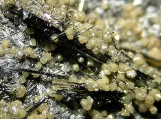 Valentinite-Paakkonenite-Stibnite-111401.jpg
