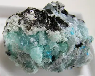 Guanacoite-Arhbarite-224942.jpg