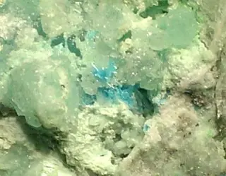 Guanacoite-Arhbarite-224943.jpg