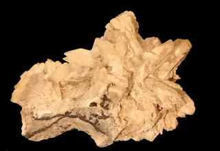 Paracelsian-27532.jpg