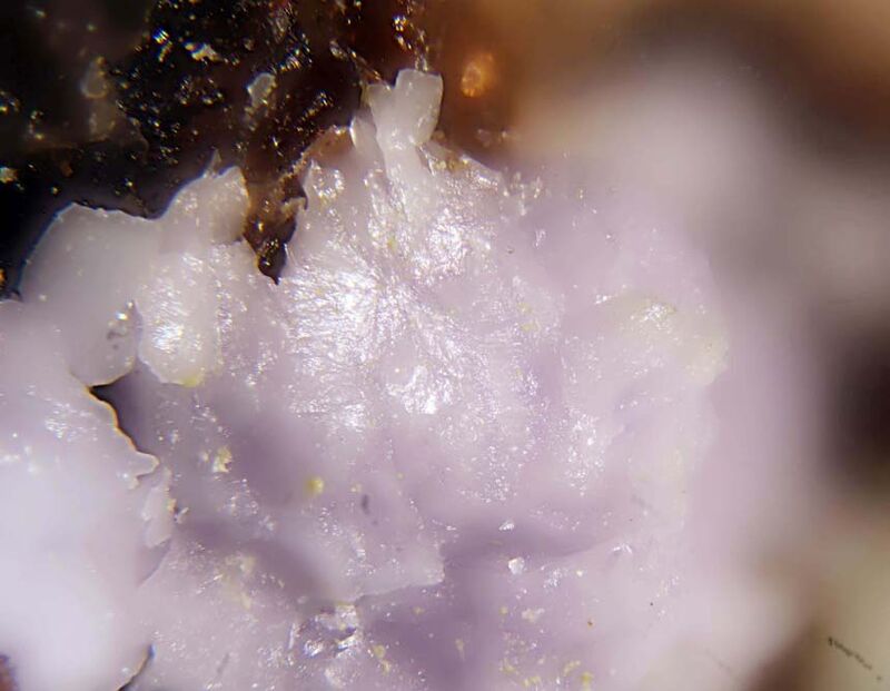 Paracoquimbite