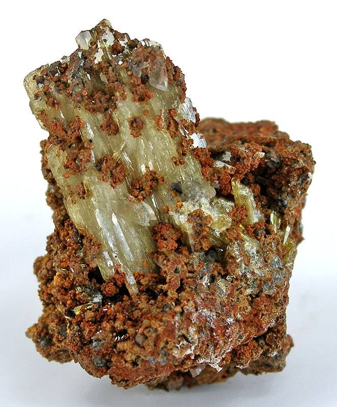 Paradamite
