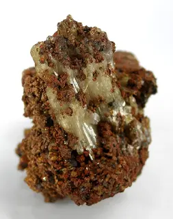 Paradamite-179846.jpg