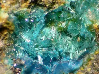 Guanacoite-93932.jpg
