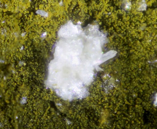 Parafransoletite