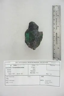 Paramelaconite with Chrysocolla, Japser, Cuprite, and Tenorite (47911402751).jpg