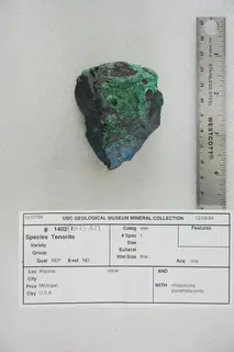 Tenorite with Chrysocolla and Paramelaconite (47122079384).jpg