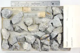 Pararammelsbergite (48603388131).jpg